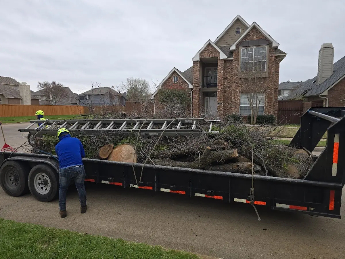Expert Crown Reduction with proper safety equipment in Laclede